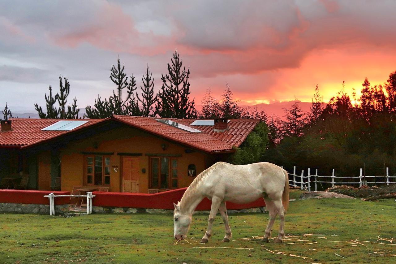 The Lazy Dog Inn A Mountain Lodge Huaraz  Dış mekan fotoğraf