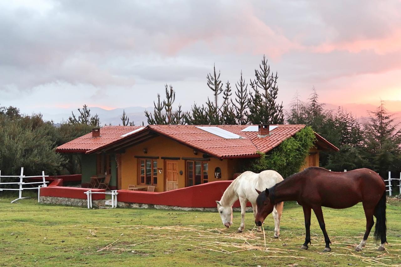 The Lazy Dog Inn A Mountain Lodge Huaraz  Dış mekan fotoğraf