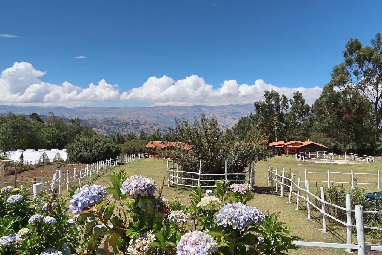 The Lazy Dog Inn A Mountain Lodge Huaraz  Dış mekan fotoğraf