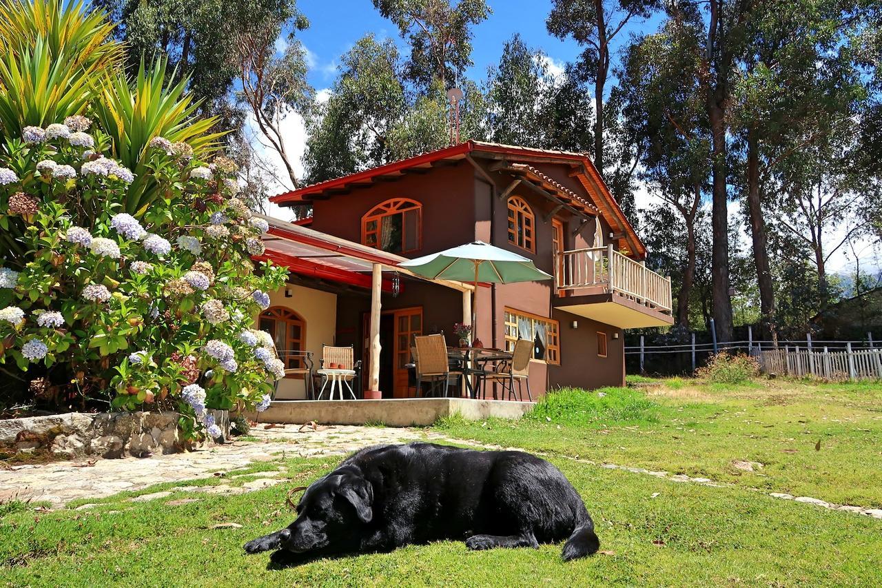 The Lazy Dog Inn A Mountain Lodge Huaraz  Dış mekan fotoğraf